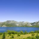 유한회사 자유 이미지