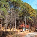 백운산 자연휴양림 야영장 이미지