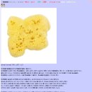 스폰지밥 아가때 모습 이미지