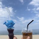 정동역길 | 강릉 여행 가볼만한 곳 : 정동진 레일바이크 예약 탑승 후기