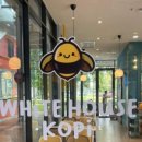 메디메다 이미지