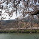 천금복집 이미지