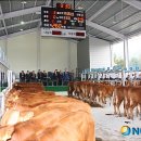 한우전자 이미지