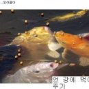 비엔나미용실 - 용인시 처인구 | 비엔나미용실