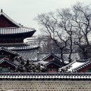 남촌중앙약국 | 한옥에 깃든 운치, 구경하려면 여기입니다