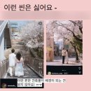 W9/ 부산 야외웨딩스냅 현비화스냅 촬영후기 (feat. 달래줄래헬퍼)