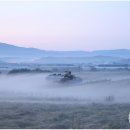 삼삼오오목장 이미지