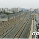 홍도지하보도 이미지