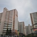 신세대하이빌