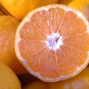 판상농장 이미지