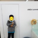 안다켄넬반려견을품에안다