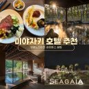 하마별마켓 | 일본에서 가장 넓은 객실! 미야자키 호텔추천 1순위 피닉스시가이아오션타워 투숙 대만족 후기