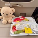 727 | [인천-간사이] 대한항공 KE727 기내식 후기 일반기내식·특별기내식(생야채식) 비교