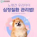 용인동물병원 이미지