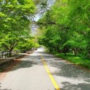 백양사 먹거리타운 이미지