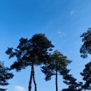 홍루이젠 강릉교동점 이미지