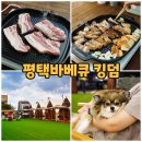 평택바베큐킹덤