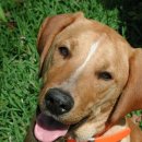 말랑말랑 이미지