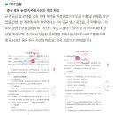 (주)테러스 네이버블로그