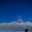 식산봉의 황근자생지 및 상록활엽수림 이미지