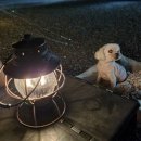 내리금봉캠핑장 이미지