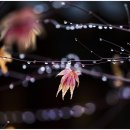 풍경하루 이미지