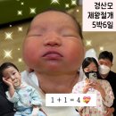 31140-6-83-20 | 경산모 제왕절개 후기 :: 5박 6일 :: 항생제 부작용 유니제돈 세파