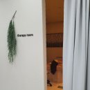 스파메리엘