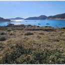 포유부동산중개 이미지