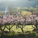 보곡산골농원 이미지