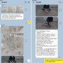 독스하트 구리 이미지