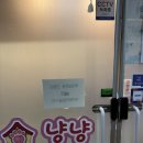 오늘도 고양이처럼 고씨네 하우스 | 하남고양이카페 정말 다양한 고양이가 있는 냥냥하우스