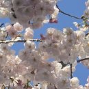 호근서호로 이미지