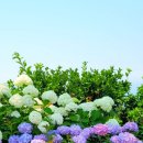 상몽농장 이미지