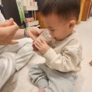 배곧점핑