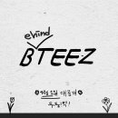 티즈