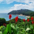 홍포주차장 이미지