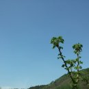 산골초가 이미지