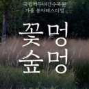 멍그루 이미지