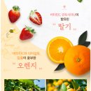 진심목장 이미지