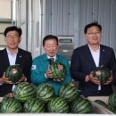 대산농산물유통