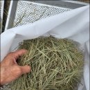 솔잎농장 이미지