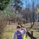 쌍청공원 화장실 이미지