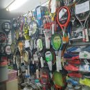 영스포츠 이미지