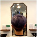 나비헤어 이미지