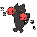 태일동물치과병원 이미지