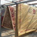 카페트세탁 스팀지니 이미지