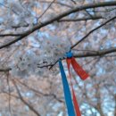 대왕수천 이미지