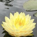 대승이네 이미지