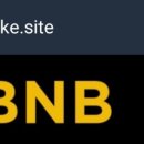 BNB(비앤비) 이미지